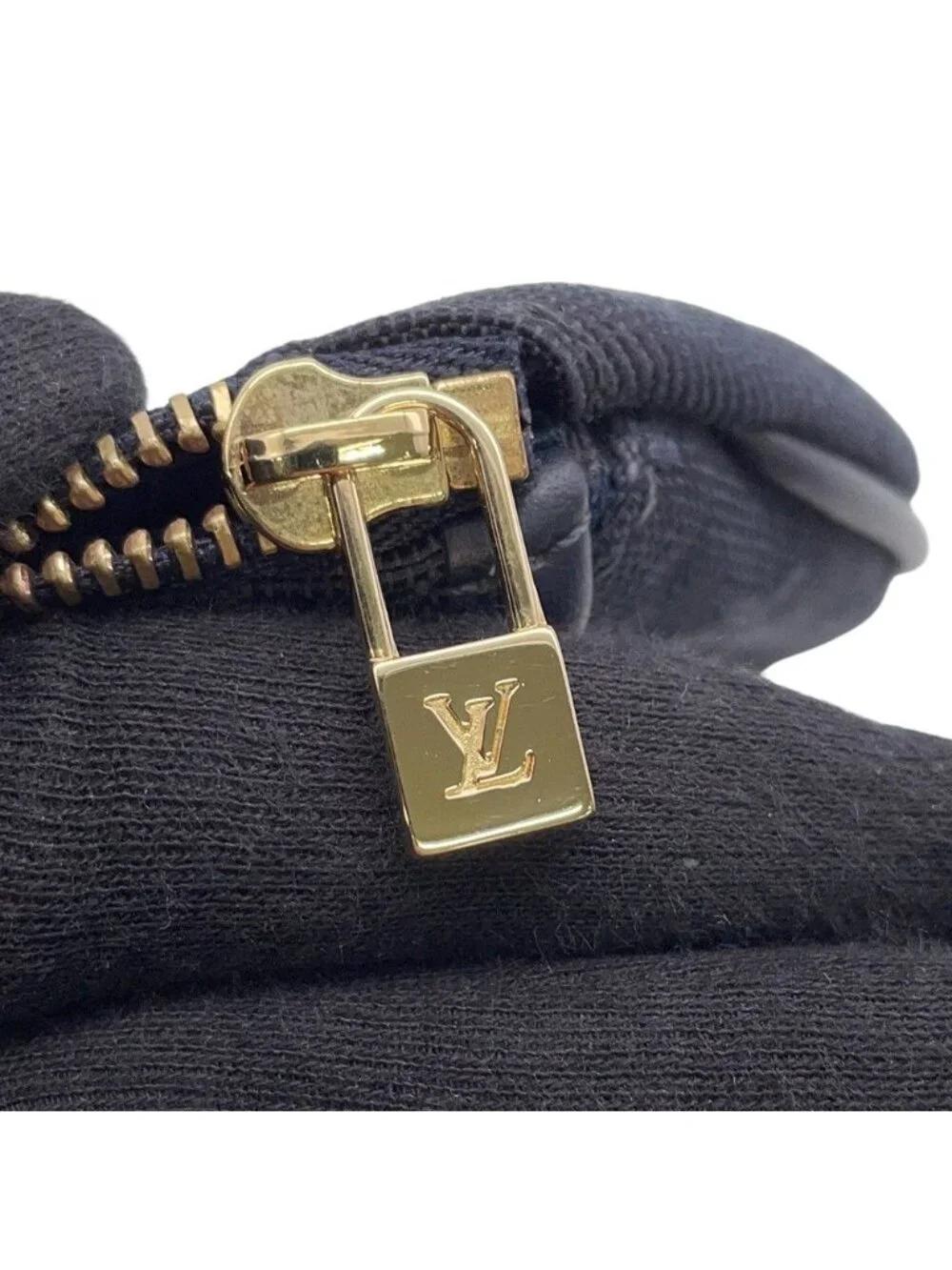 Louis Vuitton Pouch Monogram Mini Anthophy M Case